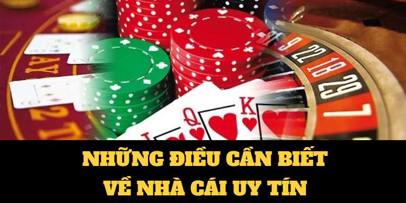 Vt999-Tận hưởng các phần thưởng đặc biệt từ nhà cái!